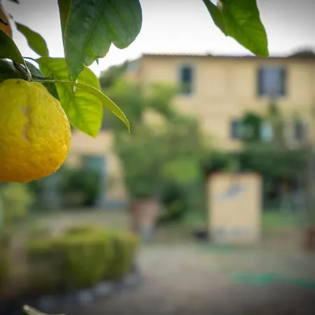 Ape Rosa Relais Bed & Breakfast 2*