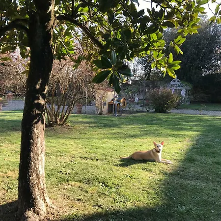 Ape Rosa Relais 2* Florence
